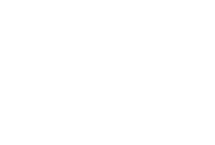 Finesse Approval Icon Cupra Finesse | Approval Icon | Cupra